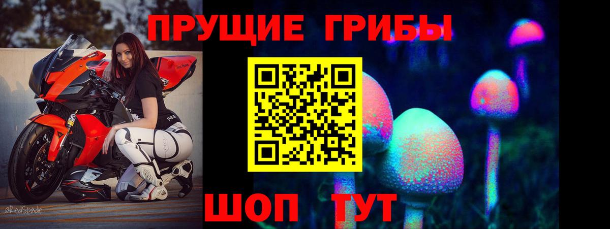 Сердобск  Псилоцибиновые грибы Cubensis  Галлюциногенные грибы MAGIC MUSHROOMS  Вход с VPN 